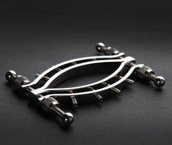 Pussy Clamp with Spikes