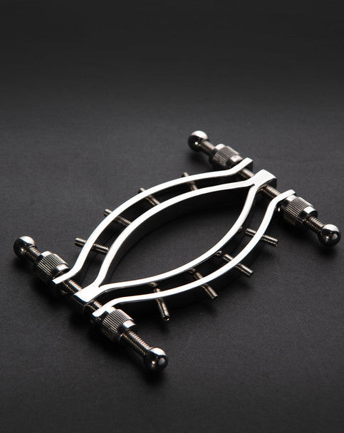 Pussy Clamp with Spikes