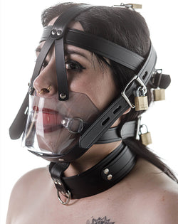 Head harness clear muzzle