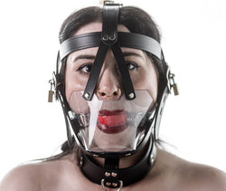 Head harness clear muzzle
