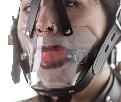 Head harness clear muzzle