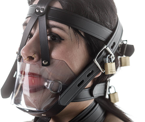 Head harness clear muzzle