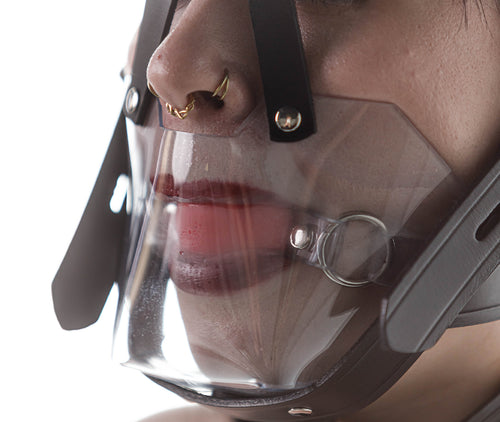 Head harness clear muzzle