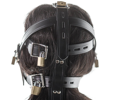 Head harness clear muzzle