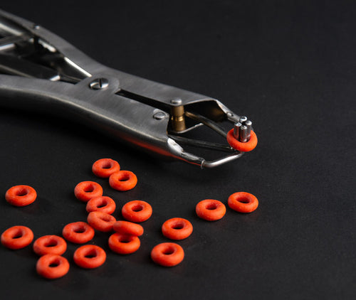 Elastrator Castration Pliers