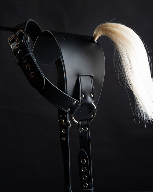 Pony Harness with stirrups