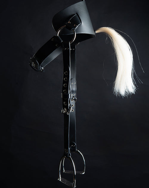 Pony Harness with stirrups