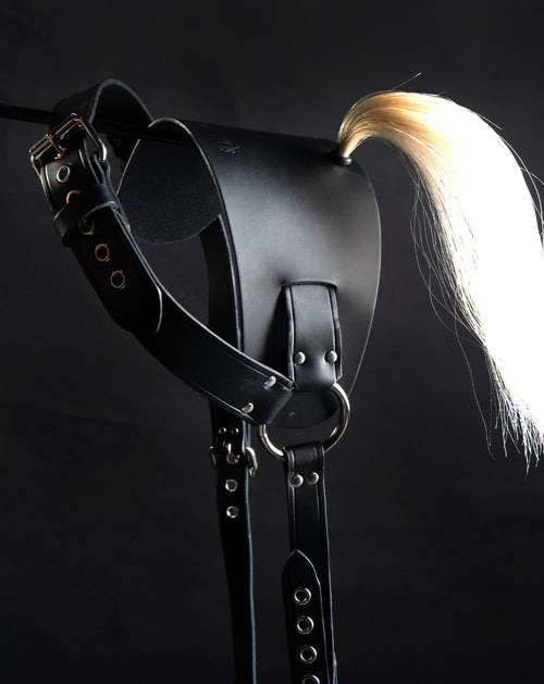 Pony Harness with stirrups