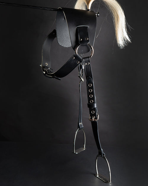 Pony Harness with stirrups