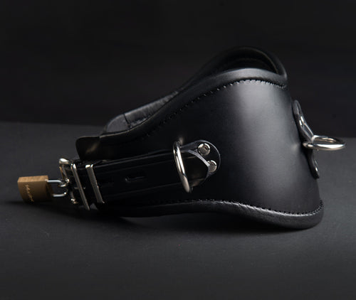 Lockable Posture Collar with 3 D Rings