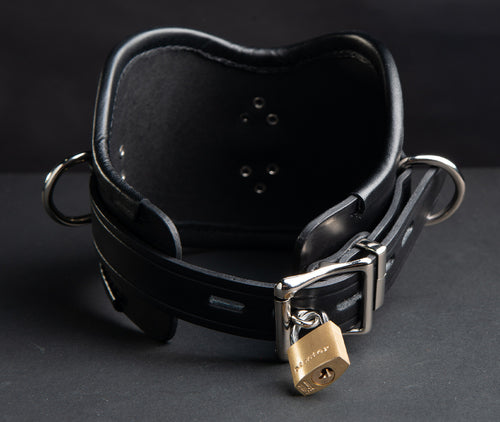 Lockable Posture Collar with 3 D Rings