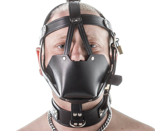 Head harness muzzle