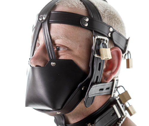 Head harness muzzle