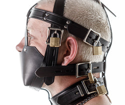 Head harness muzzle