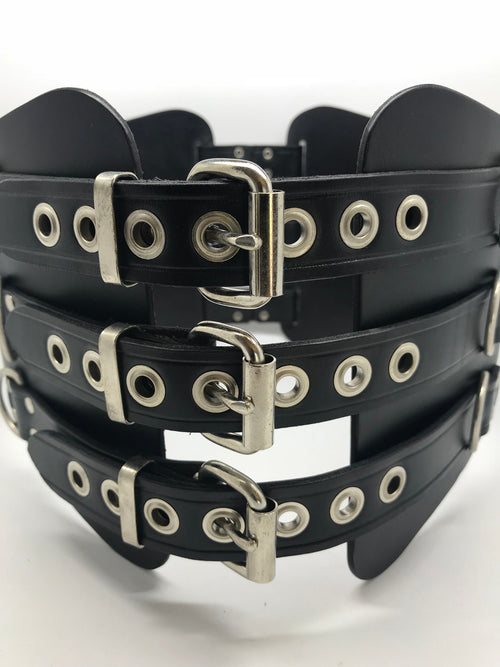 Kidney Belt with D Rings