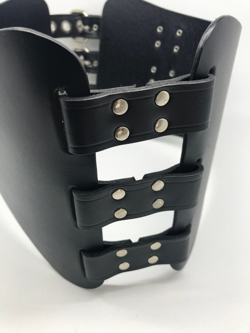 Kidney Belt with D Rings
