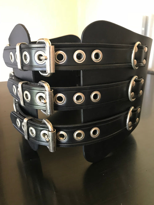 Kidney Belt with D Rings