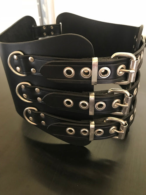 Kidney Belt with D Rings