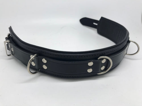 Deluxe Lockable Collar