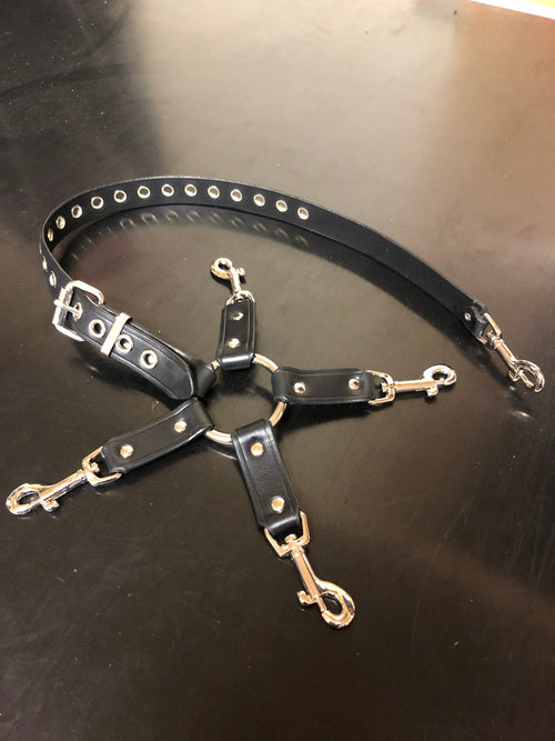 Collar Restraint Combo