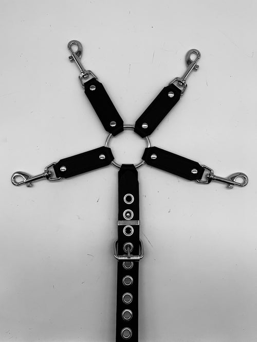 5 Strap Hogtie