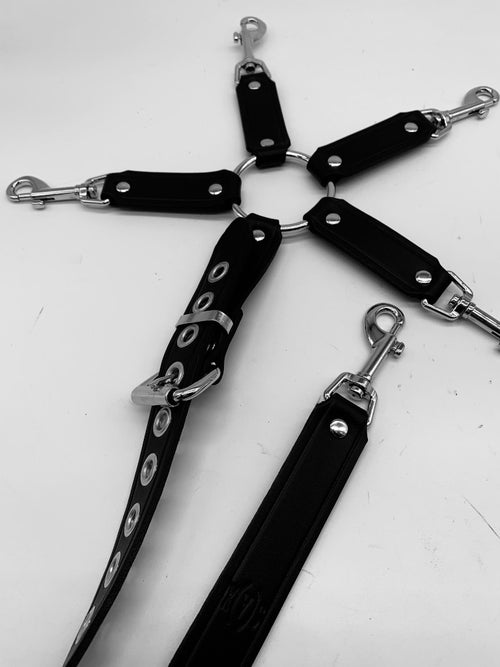 5 Strap Hogtie