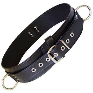 Bondage Belt 3 D Rings