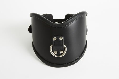 Posture Collar