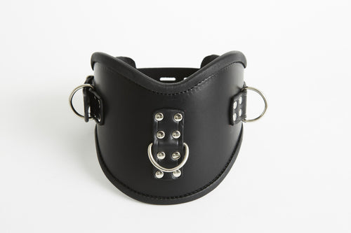 Lockable Posture Collar with 3 D Rings