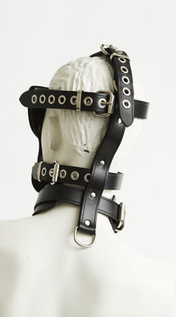Head Harness 2