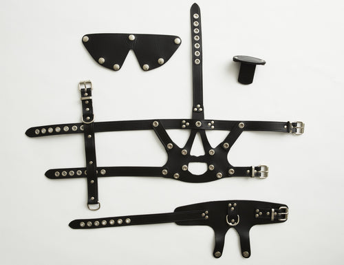 Head Harness 2