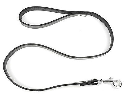 Leather Leash