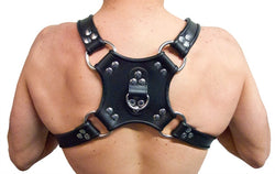 Mister B Leather Walking Harness