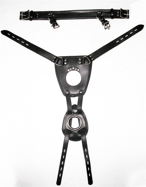 Mister B Butt Plug Dog Tail Harness