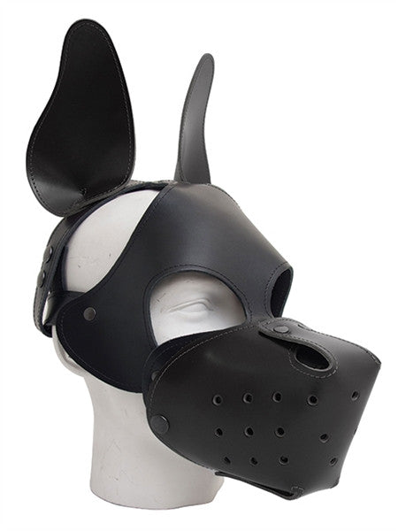 Mister B Shaggy Dog Hood
