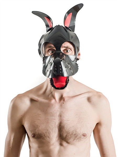 Mister B FETCH Rubber Dog Hood Tongue and Ears - All Colours