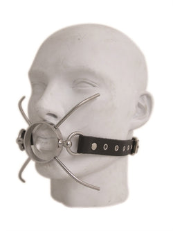 Mister B Spider Gag