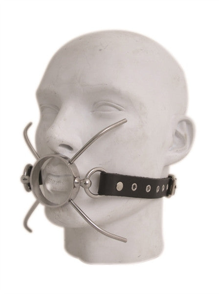 Mister B Spider Gag