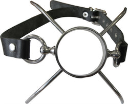 Mister B Spider Gag