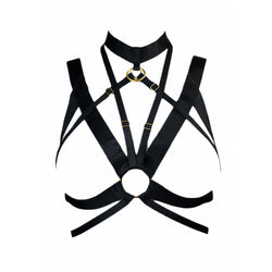 Andorra Black with Gold Harness