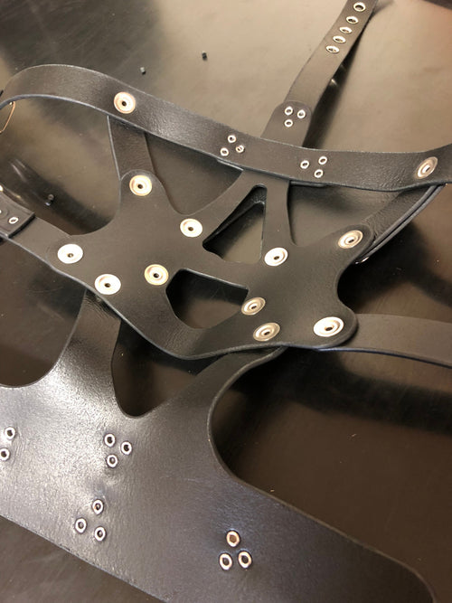 Head Harness 2