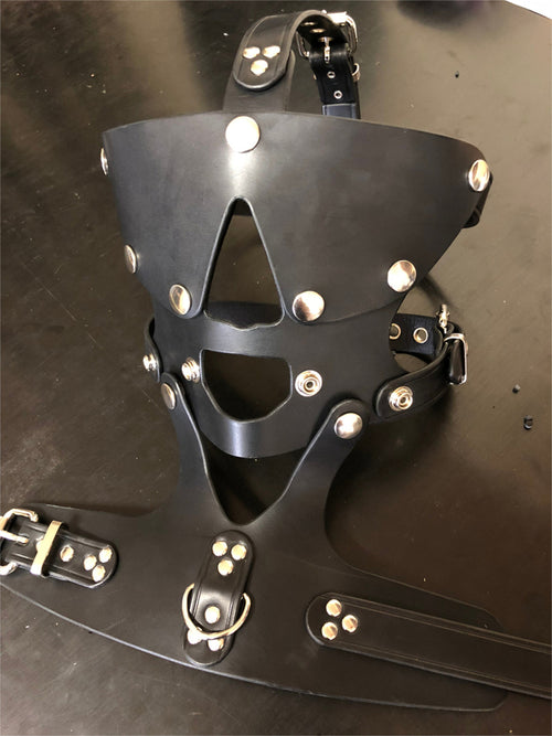 Head Harness 2