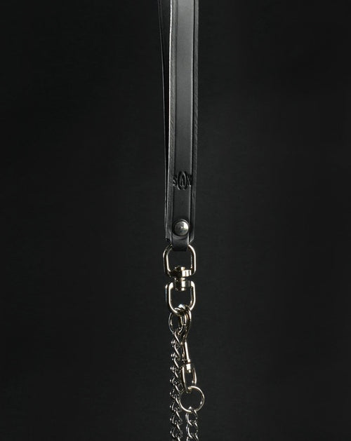 Leather Handle & Chain Leash