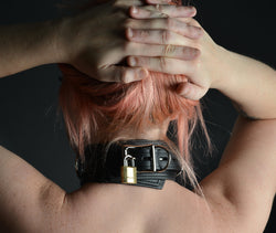 Deluxe Lockable Collar