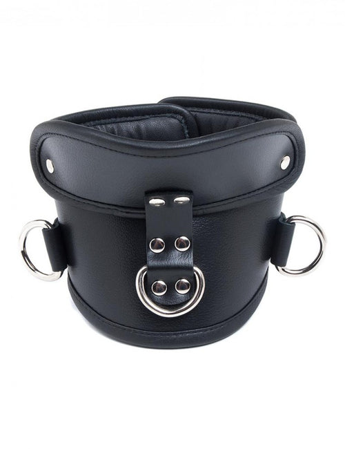 Deluxe Padded Posture Collar