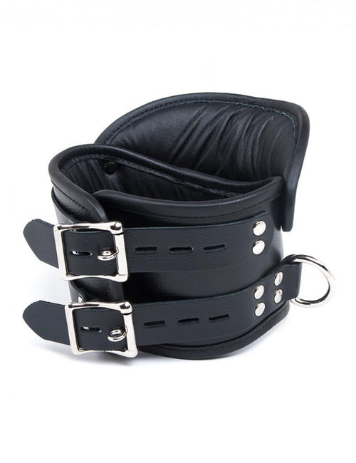 Deluxe Padded Posture Collar