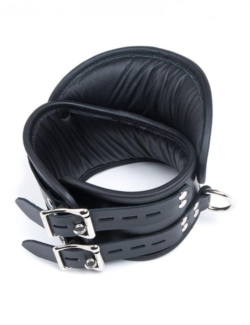 Deluxe Padded Posture Collar