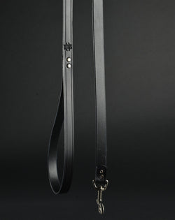 Leather Leash