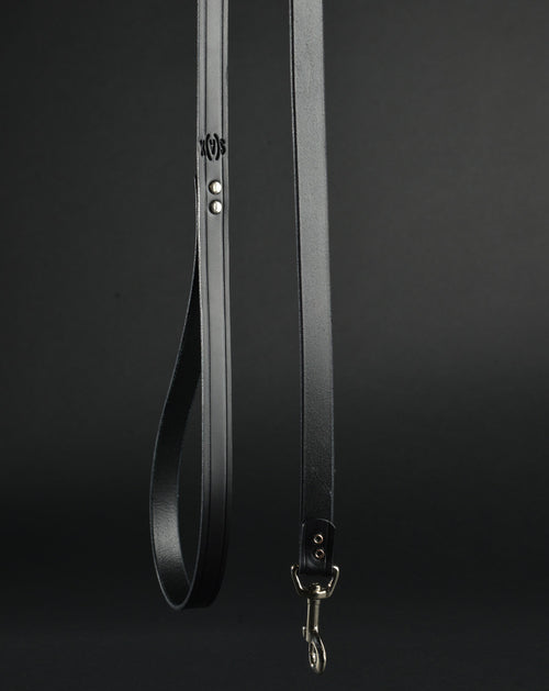 Leather Leash