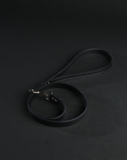 Leather Leash